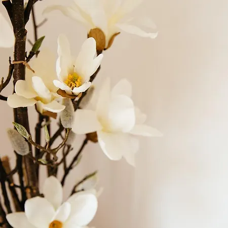 S'arena Bianca ألغيرو