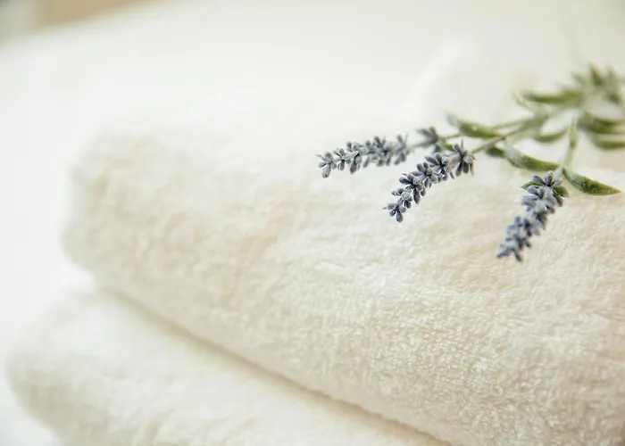 公寓 S'arena Bianca 阿尔盖罗