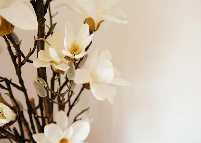 S'arena Bianca 阿尔盖罗