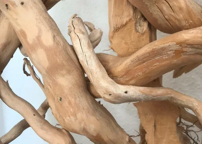 S'arena Bianca 公寓